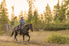 USA-Colorado-Routt National Forest Guest Ranch